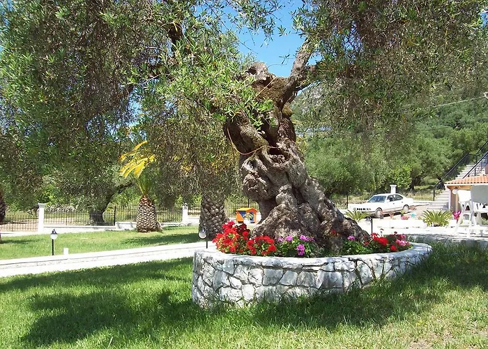 Lejlighed Leonidas Sami (Kefalonia)